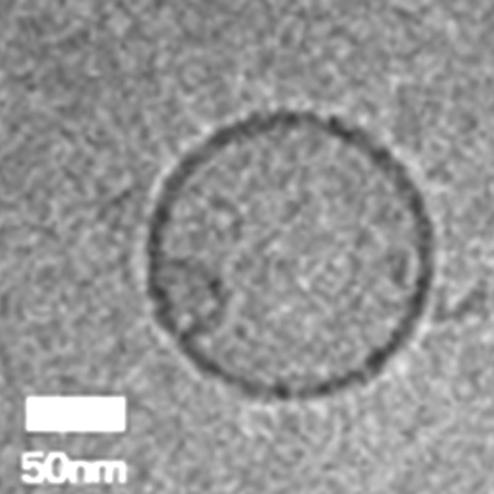 BIOFT-Plant Exosomes